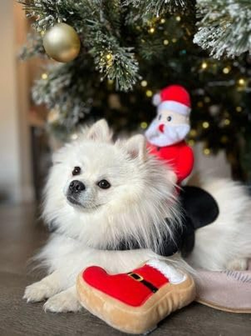 Santa Claus Jockey Dog Costume (Medium)